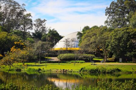Familieferie i São Paulo: En Guidet Reise for Hele Familien